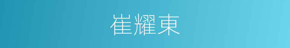 崔耀東的同義詞