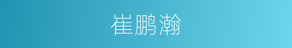 崔鹏瀚的同义词