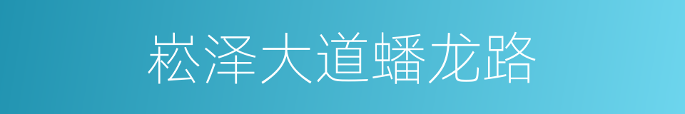 崧泽大道蟠龙路的同义词