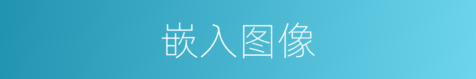 嵌入图像的同义词