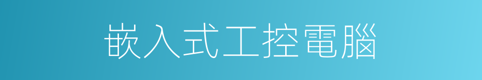 嵌入式工控電腦的同義詞