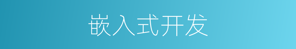 嵌入式开发的同义词