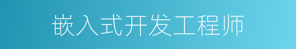嵌入式开发工程师的同义词