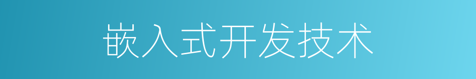 嵌入式开发技术的同义词