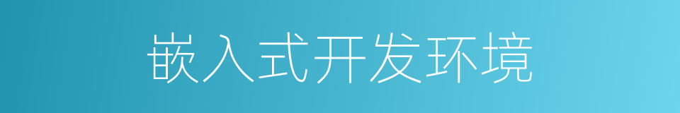 嵌入式开发环境的同义词