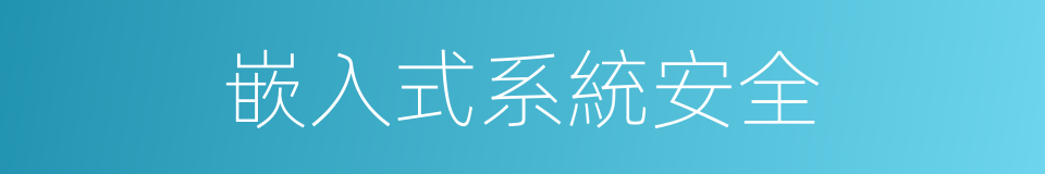 嵌入式系統安全的同義詞