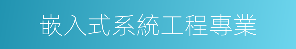 嵌入式系統工程專業的同義詞