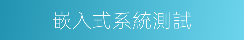 嵌入式系統測試的同義詞