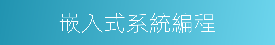 嵌入式系統編程的同義詞