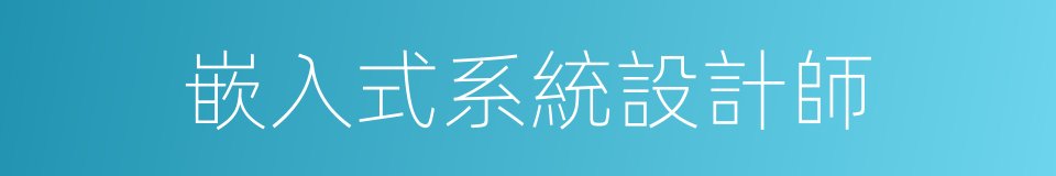 嵌入式系統設計師的同義詞