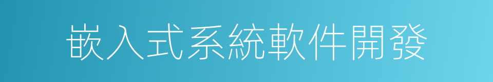 嵌入式系統軟件開發的同義詞