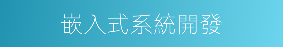 嵌入式系統開發的同義詞