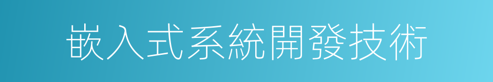 嵌入式系統開發技術的同義詞