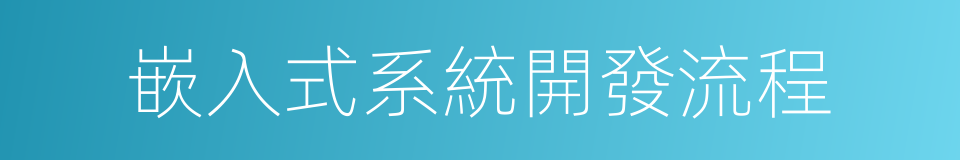 嵌入式系統開發流程的同義詞