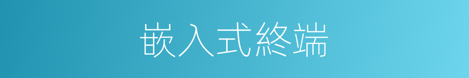 嵌入式終端的同義詞