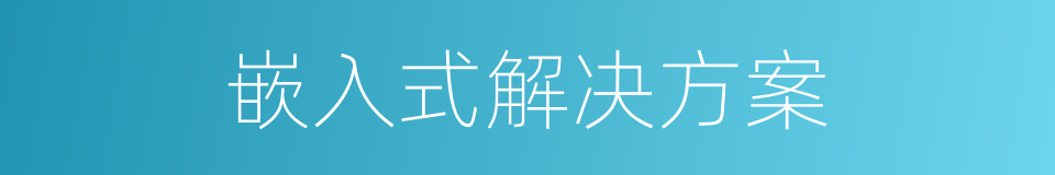 嵌入式解决方案的同义词