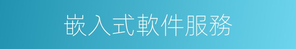 嵌入式軟件服務的同義詞