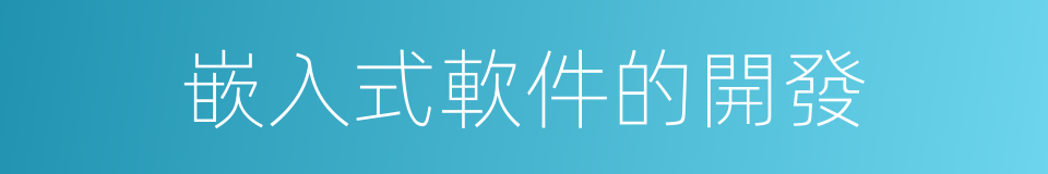 嵌入式軟件的開發的同義詞