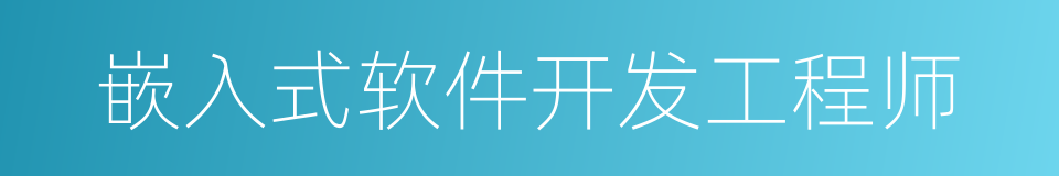 嵌入式软件开发工程师的同义词