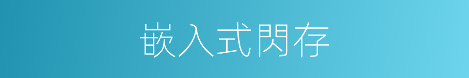 嵌入式閃存的同義詞