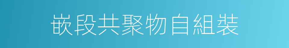 嵌段共聚物自組裝的同義詞