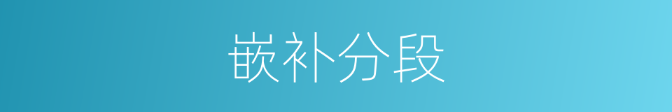 嵌补分段的同义词