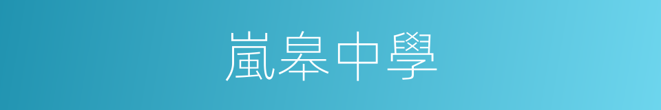 嵐皋中學的同義詞