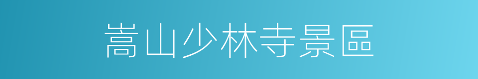 嵩山少林寺景區的同義詞