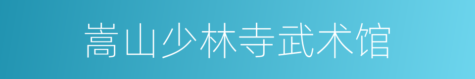 嵩山少林寺武术馆的同义词