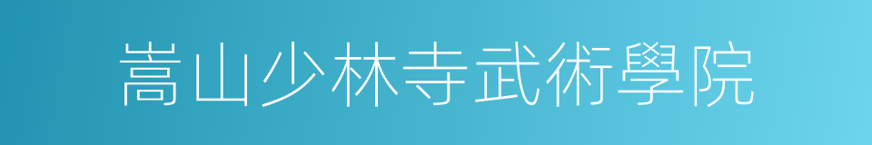 嵩山少林寺武術學院的意思