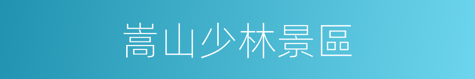 嵩山少林景區的同義詞