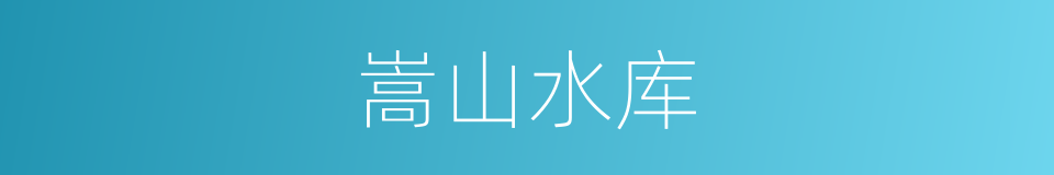 嵩山水库的同义词