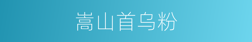 嵩山首乌粉的同义词