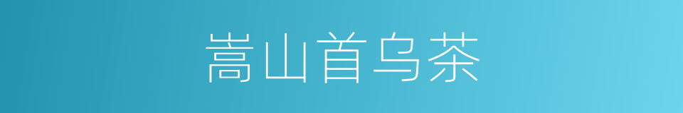 嵩山首乌茶的同义词