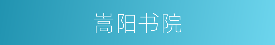 嵩阳书院的意思