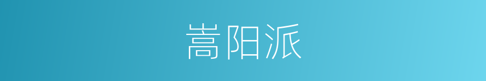 嵩阳派的同义词