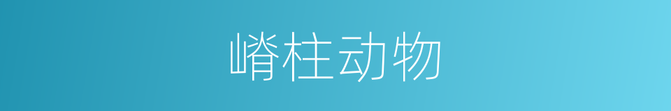 嵴柱动物的同义词