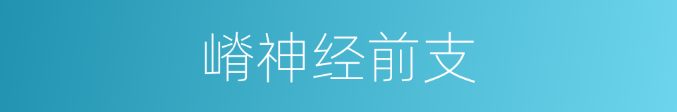 嵴神经前支的同义词