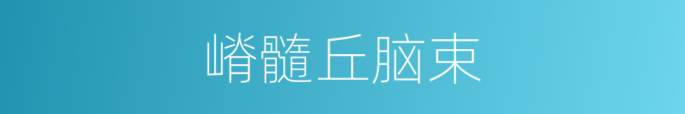 嵴髓丘脑束的同义词