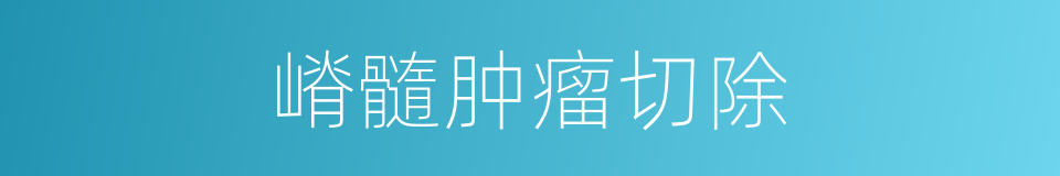 嵴髓肿瘤切除的同义词