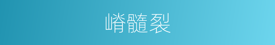 嵴髓裂的同义词