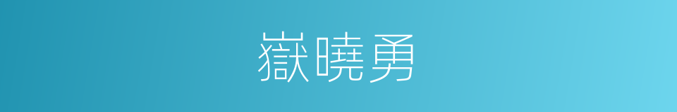 嶽曉勇的同義詞