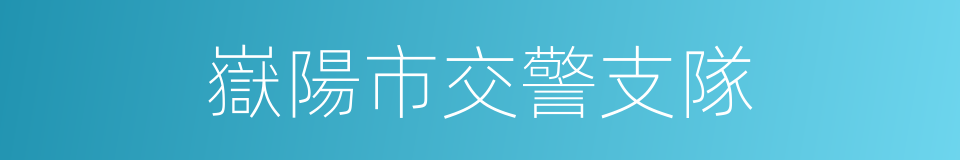 嶽陽市交警支隊的同義詞