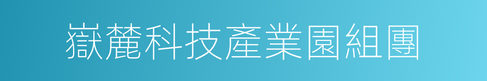 嶽麓科技產業園組團的同義詞