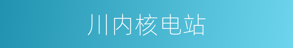 川内核电站的同义词