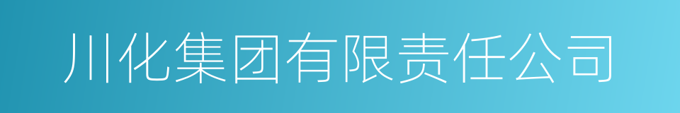 川化集团有限责任公司的同义词