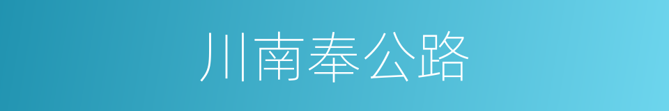 川南奉公路的同义词