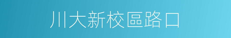 川大新校區路口的同義詞