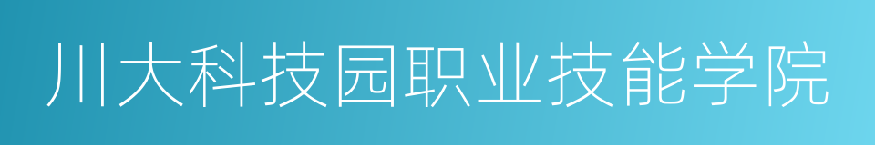 川大科技园职业技能学院的同义词