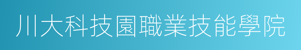 川大科技園職業技能學院的同義詞